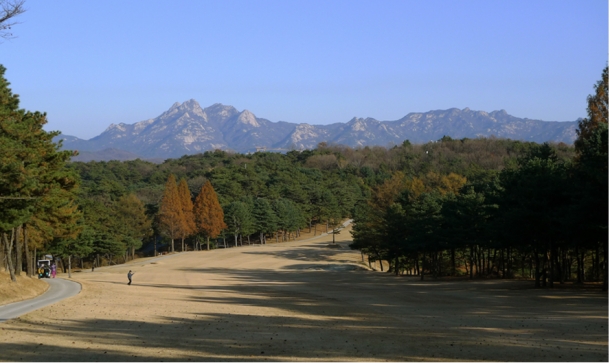 서울